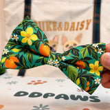 Bowtie