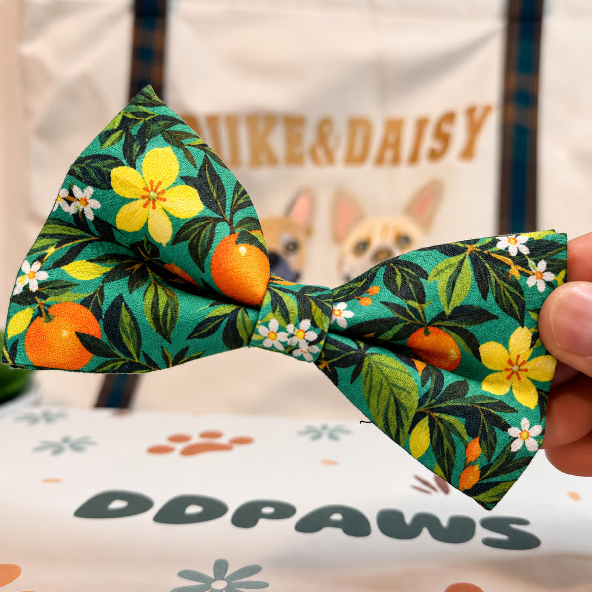 Designed Tropical Lemon Dog Harness Set