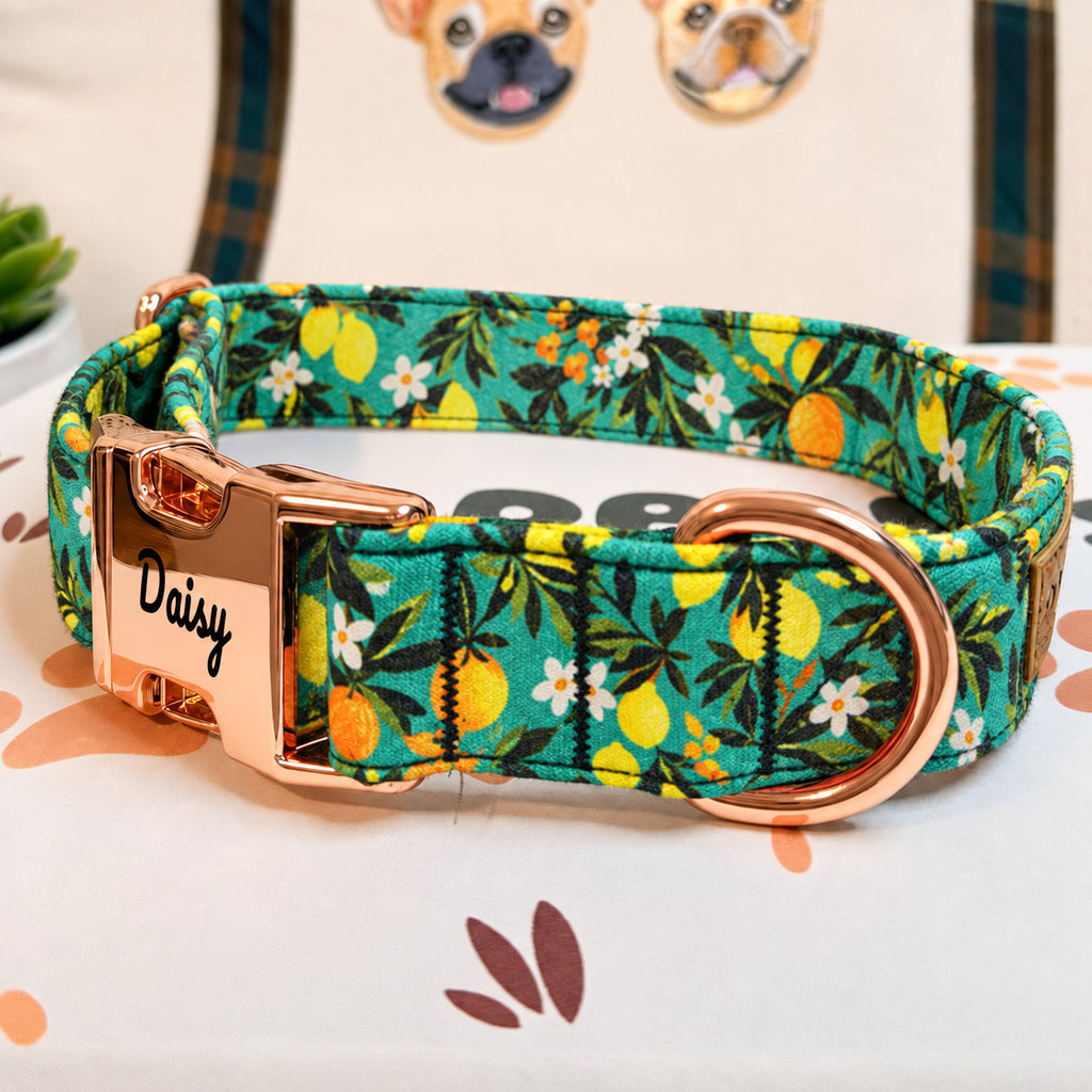 Designed Tropical Lemon Dog Harness Set