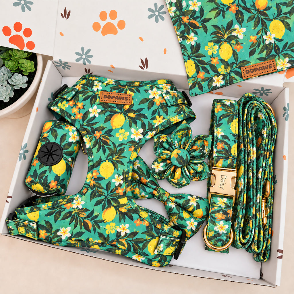 Designed Tropical Lemon Dog Harness Set