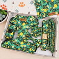 Designed Tropical Lemon Dog Harness Set
