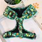 Designed Tropical Lemon Dog Harness Set