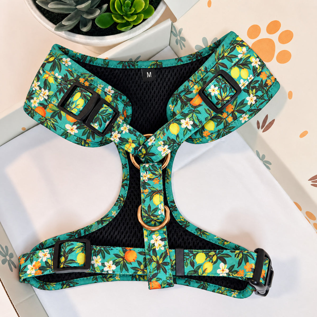 Designed Tropical Lemon Dog Harness Set