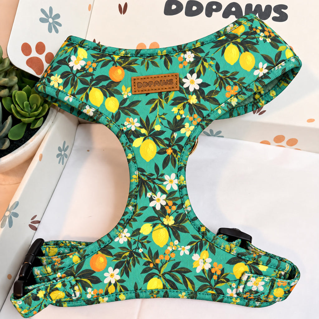 Designed Tropical Lemon Dog Harness Set