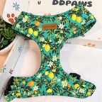 Designed Tropical Lemon Dog Harness Set