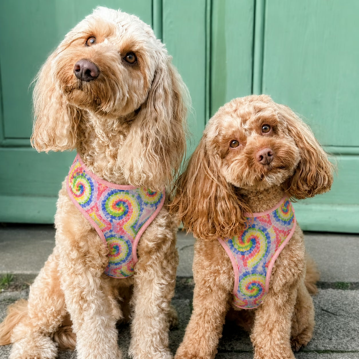 Designed Rainbow Twirl Floral Dog Vest Set