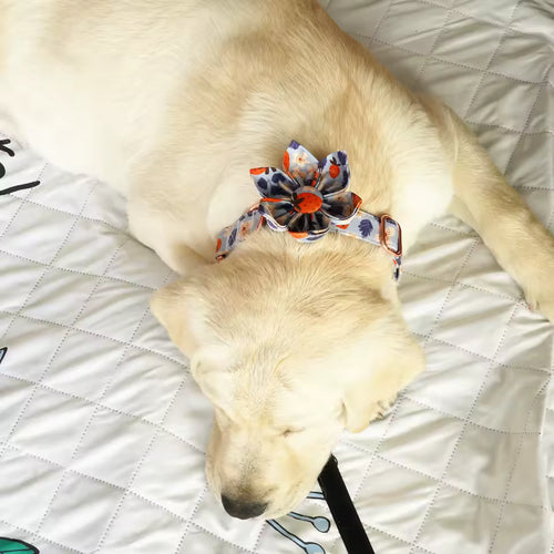 Berry Bliss Floral Dog Collar and Leash Set