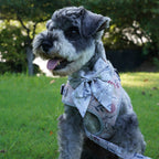 Designed Lilac Meadow Floral Dog Vest Set