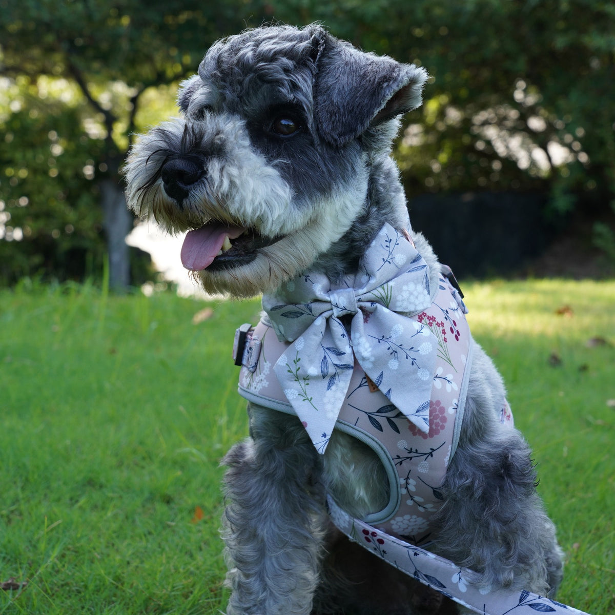 Designed Lilac Meadow Floral Dog Vest Set