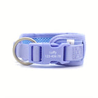 DDPaws  Personalized Light Weight Dog Walking Set