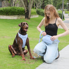 DDPaws  Personalized Light Weight Dog Walking Set