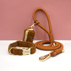 Personalized Teddy Dog Walking Set