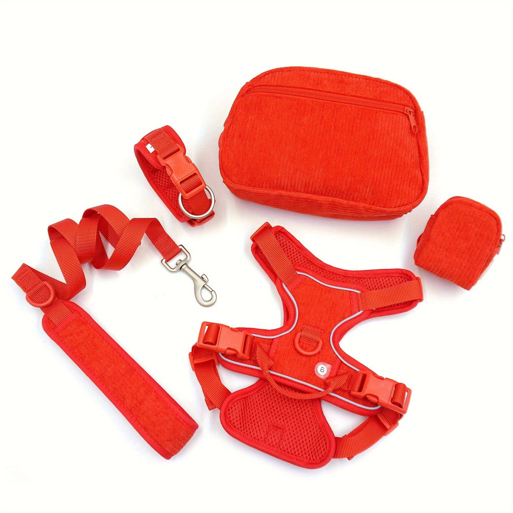 DDPaws  Red / L Personalized Light Weight Dog Walking Set