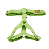 Harness