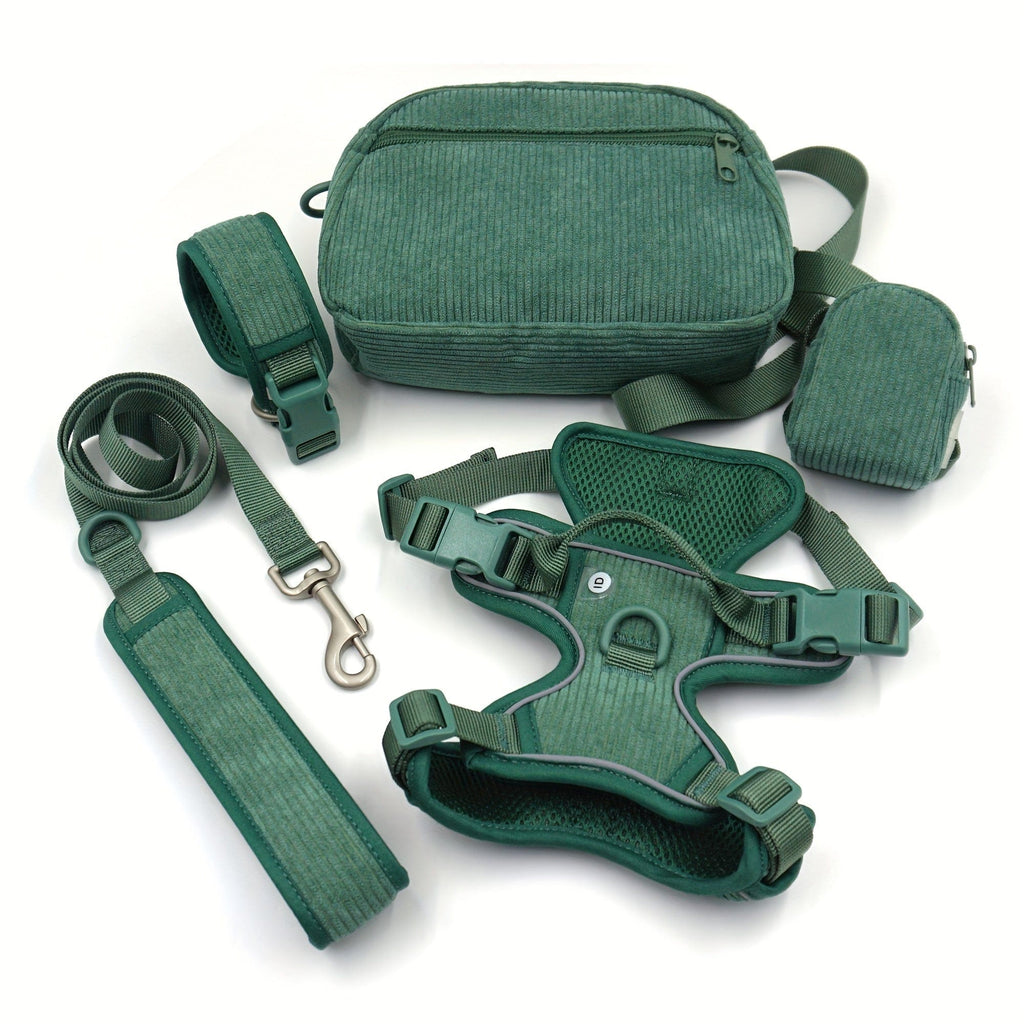 DDPaws  Dark Green / S Personalized Light Weight Dog Walking Set