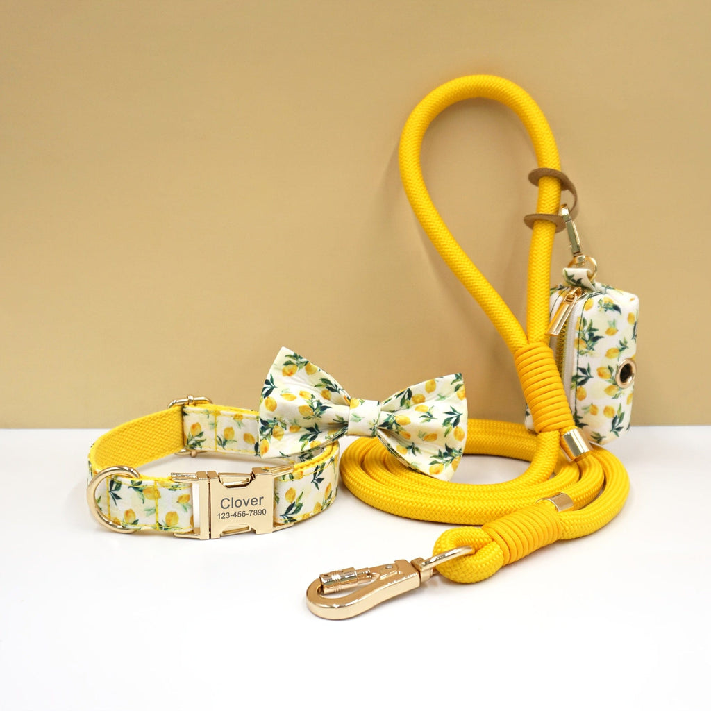 Personalized Cotton Dog Collar Leash Set