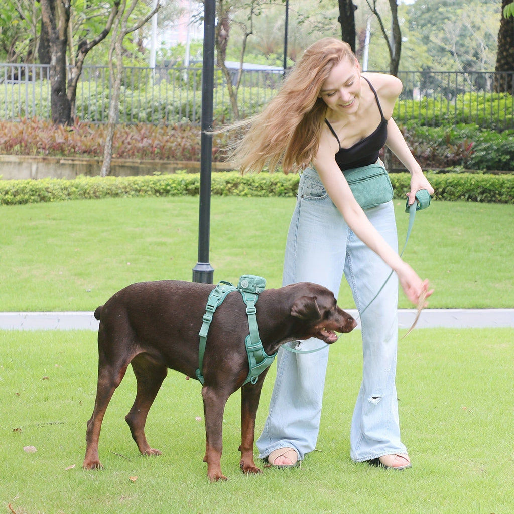 DDPaws  Personalized Light Weight Dog Walking Set