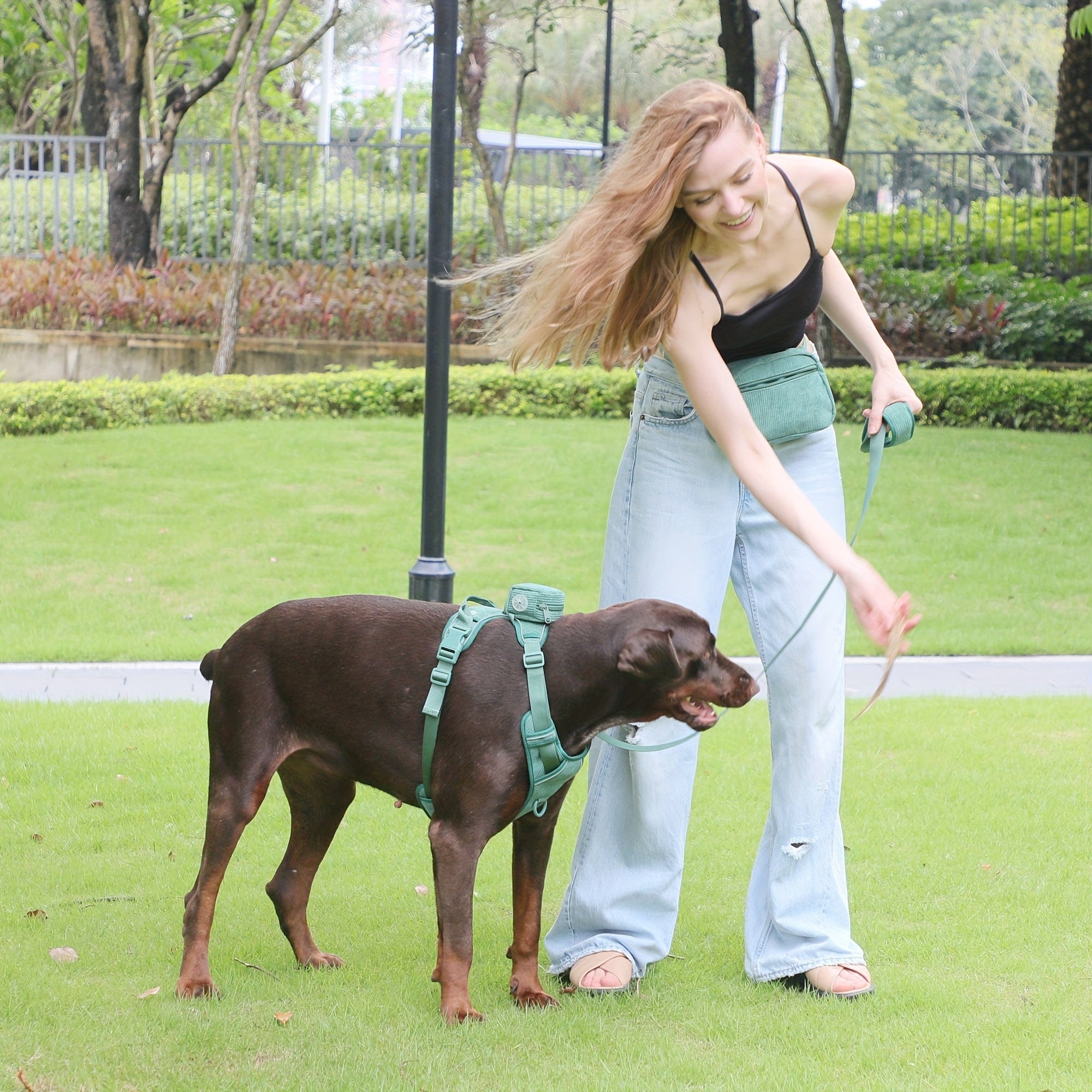 DDPaws  Personalized Light Weight Dog Walking Set