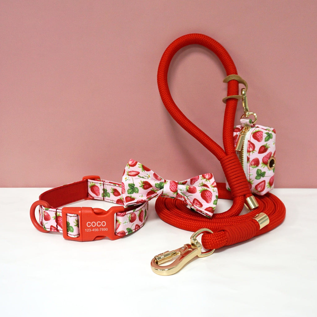 Personalized Light Weight Dog Collar Bowtie Leash Poop Bag Set