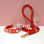 Personalized Light Weight Dog Collar Bowtie Leash Poop Bag Set