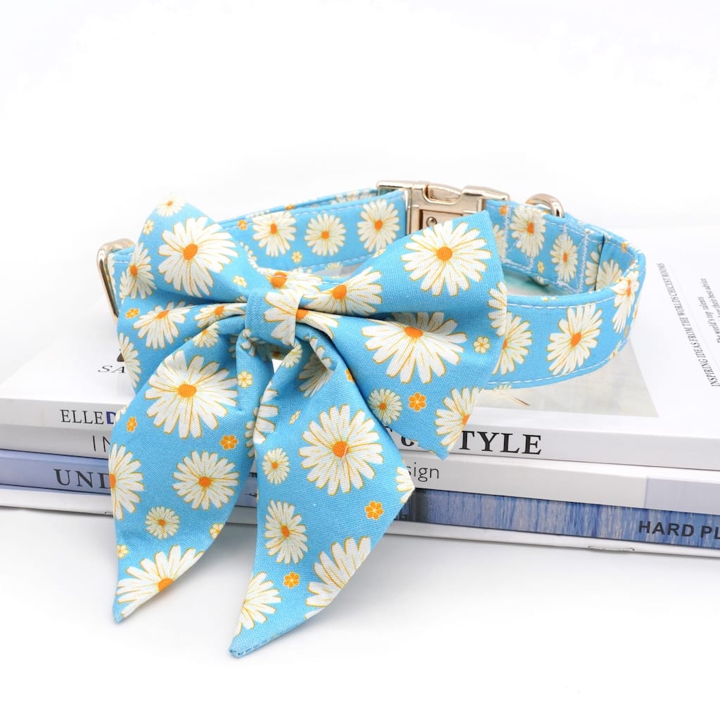 D&D Paws Designed Blue Daisy Dog Vest Set