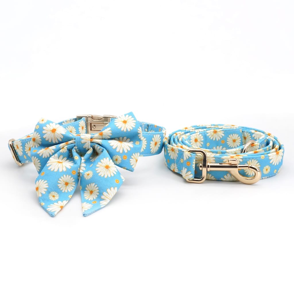D&D Paws Designed Blue Daisy Dog Vest Set
