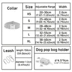 Personalized Teddy Dog Walking Set