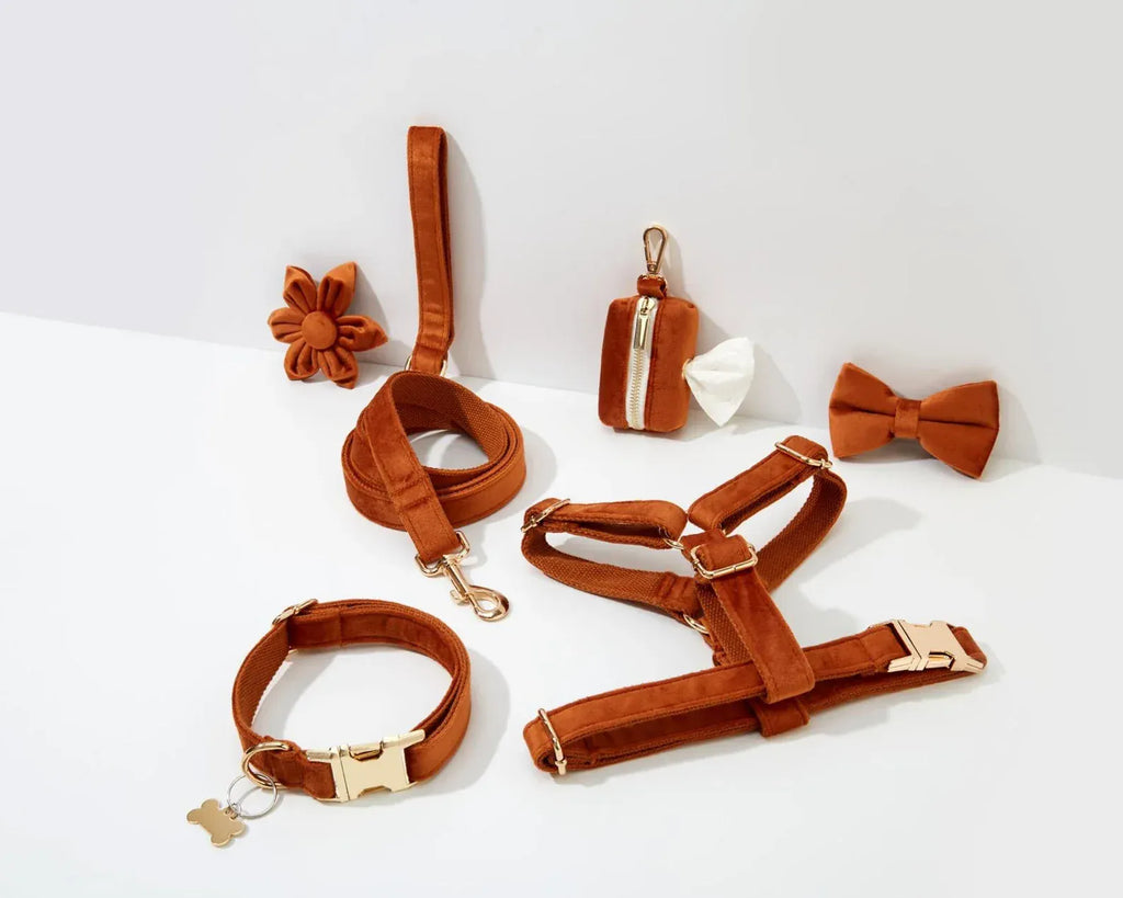 D&D Paws  Ancient Pottery Velvet - Modern Luxe Set