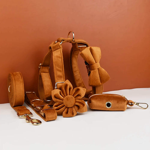 D&D Paws  Ancient Pottery Velvet - Modern Luxe Set