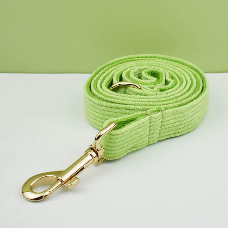 D&D Paws  Apple Fruit Green Corduroy - Classic Elegance Set