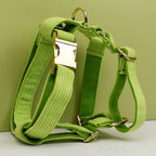 D&D Paws  Apple Fruit Green Corduroy - Classic Elegance Set