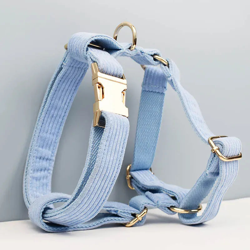 D&D Paws  Blue Corduroy Dog Harness, Collar & Leash Set – Classic Elegance Collection
