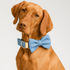 D&D Paws  Blue Denim Dog Harness, Collar & Leash Set – Classic Elegance Collection