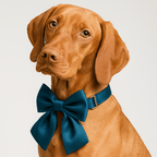 D&D Paws  Blue Green Satin Wedding Dog Collar, Harness & Leash Set – Classic Elegance