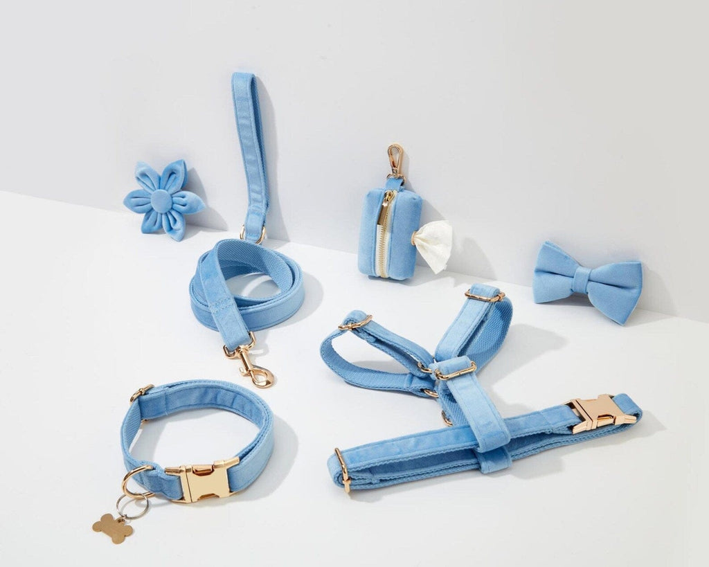 D&D Paws  Blue Velvet Dog Collar, Harness & Leash Set – Modern Luxe Personalized