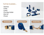 D&D Paws  Blue Velvet Dog Harness, Collar & Leash Set – Modern Luxe Collection