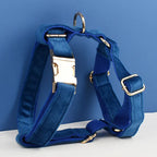 D&D Paws  Blue Velvet Dog Harness, Collar & Leash Set – Modern Luxe Collection
