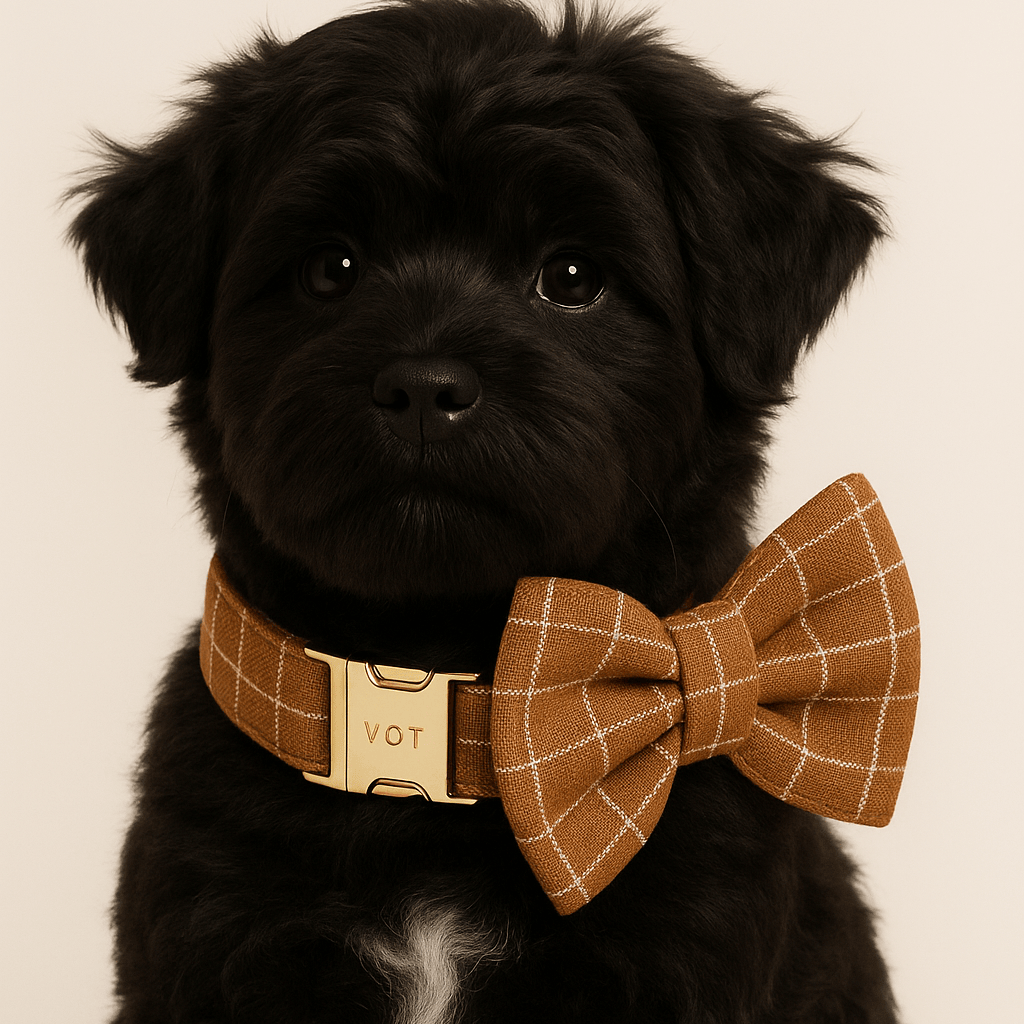 D&D Paws  Brown Plaid - Classic Elegance Set