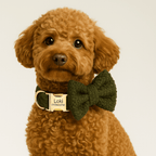 D&D Paws  Cozy Olive – Classic Elegance Set