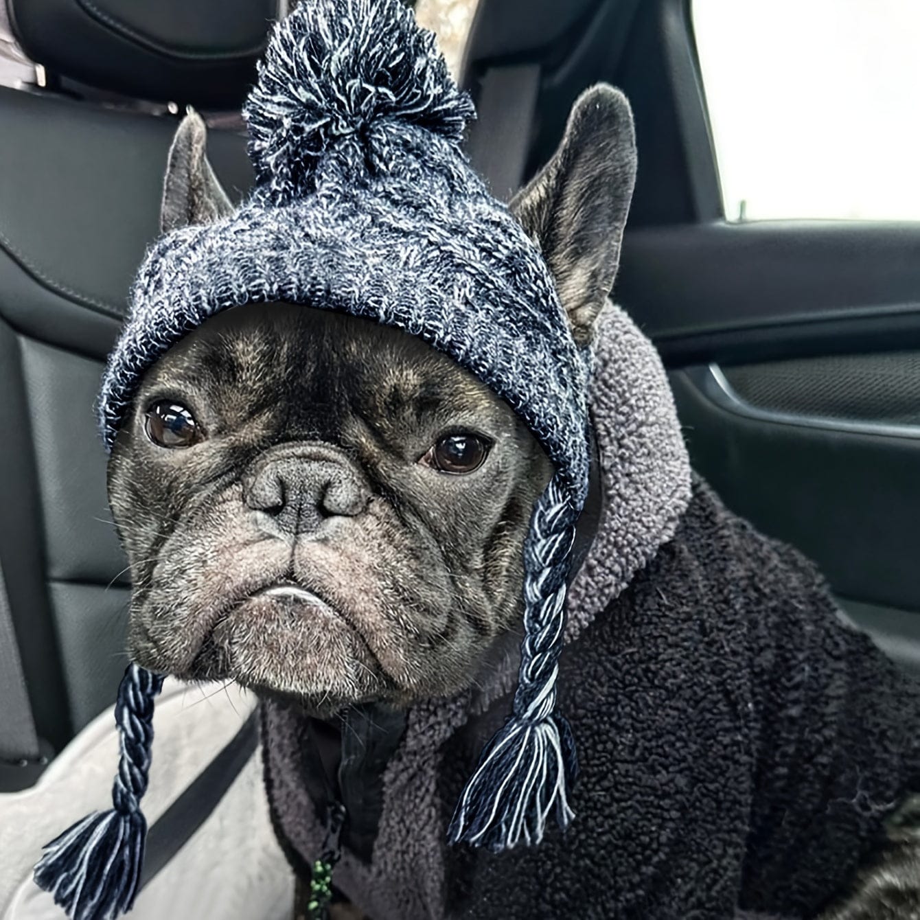 D&D Paws  Cozy Plaid Pet Earflap Hat – Warm Winter Dog Hat for Small & Medium Pets