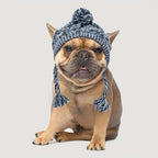 D&D Paws  Cozy Plaid Pet Earflap Hat – Warm Winter Dog Hat for Small & Medium Pets