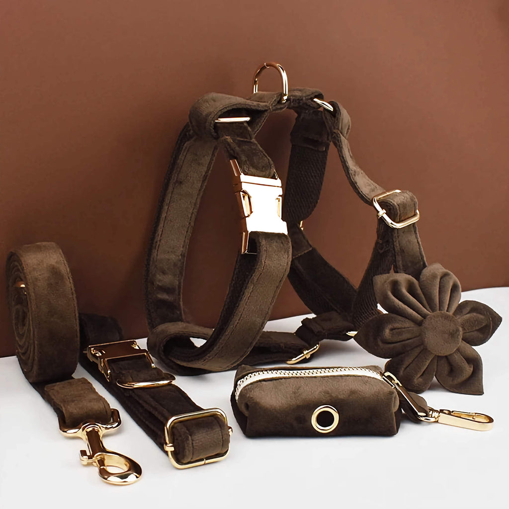 D&D Paws  Dark Brown Velvet Dog Harness, Collar & Leash Set – Modern Luxe Collection