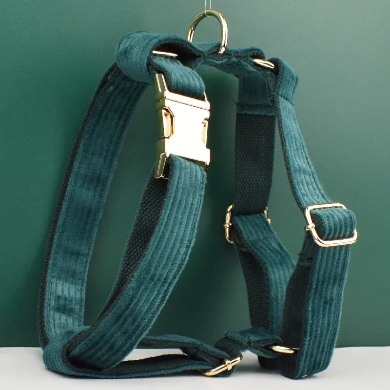 D&D Paws  Dark green Corduroy - Classic Elegance Set