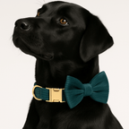 D&D Paws  Dark green Corduroy - Classic Elegance Set