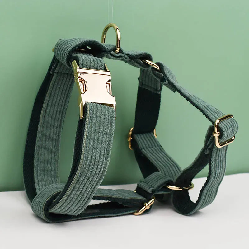 D&D Paws  Dark Green Corduroy Dog Collar, Harness & Leash Set – Classic Elegance