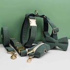 D&D Paws  Dark Green Corduroy Dog Collar, Harness & Leash Set – Classic Elegance