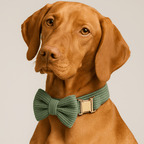 D&D Paws  Dark Green Corduroy Dog Collar, Harness & Leash Set – Classic Elegance
