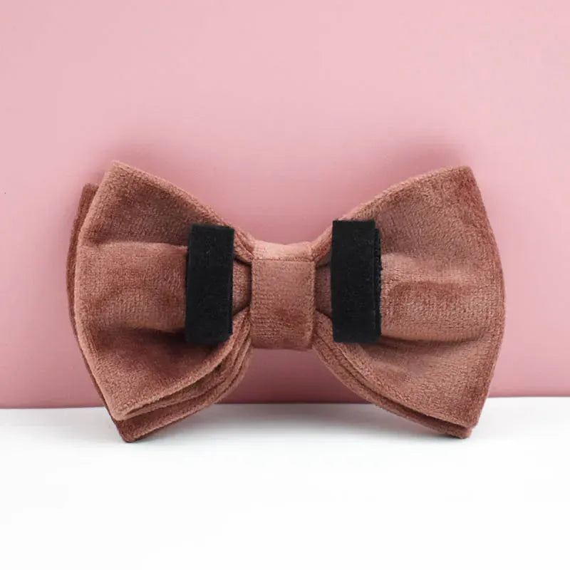 D&D Paws  Dusty Pink Velvet Dog Harness, Collar & Leash Set – Modern Luxe Personalized