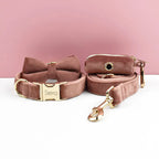 D&D Paws  Dusty Pink Velvet Dog Harness, Collar & Leash Set – Modern Luxe Personalized