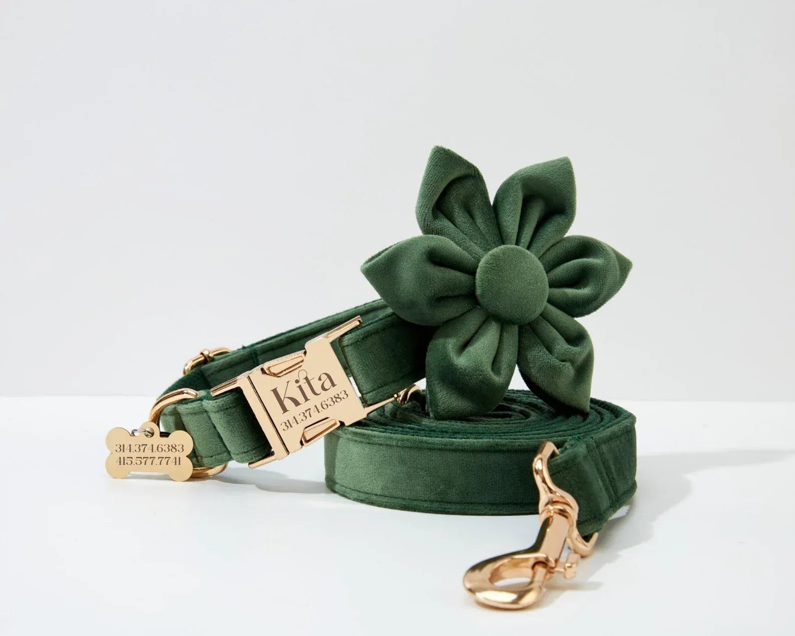 D&D Paws  Forest Green Velvet - Modern Luxe Set